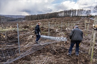 Construction of a game fence around a 5-hectare area in the Arnsberg Forest near