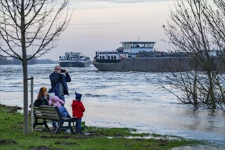 Flood on the Rhine, flooded banks of the Rhine, old ferry landing stage, Rhine meadows, near