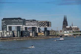 Crane houses, at the customs harbour, Cologne South, residential and office high-rises, cargo