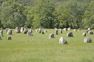 Sculpture by Fabienne Boÿer, 81 solitary stones, single, landscape, field, meadow, solitary,