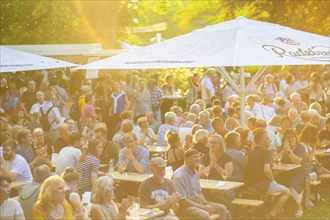 31st Elbhangfest, Wine Village Loschwitz, 31st Elbhangfest, Dresden, Saxony, Germany, Europe