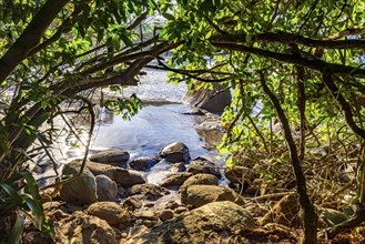 The sea and beach seen through the tropical forest of Ilhabela island in Sao Paulo, Praia do