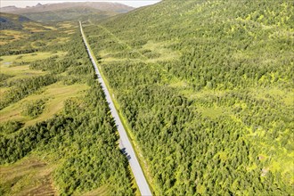 Aerial view of a straight road and power line cutting through forest and meadows on Senja island,