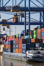 Container cargo ship in the harbour basin of the Logport, gantry cranes in the Container Handling