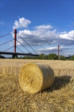 Grain field, harvested, straw bales, near Duisburg-Baerl, behind the motorway bridge of the A42