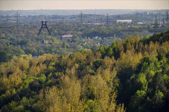 View from the Hoheward spoil tip to the south towards Wanne-Eickel, wooded areas, headframe of the