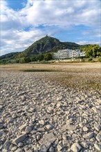 The Rhine at extremely low water, near Bad Honnef Rhöndorf, below the Drachenfels, Nonnenwerth