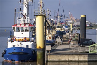 Harbour tugs, tugboats, bowser, at the pier at Columbuskaje, harbour cranes, historic Pingelturm,