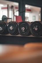 Several disc dumbbells on a shelf in the fitness studio, Historic Fitness Studio, Bulls Fit,