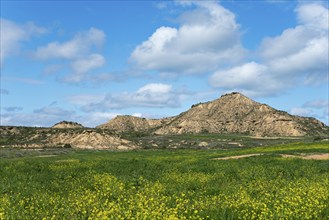 Spring landscape with flowering meadows and rocky elevations under a slightly cloudy blue sky,