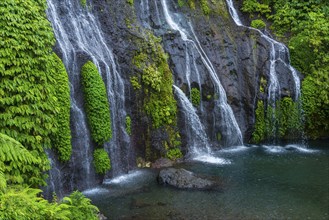 Banyumala twin waterfalls, waterfall, jungle, rainforest, water, nature, botany, holiday, paradise,