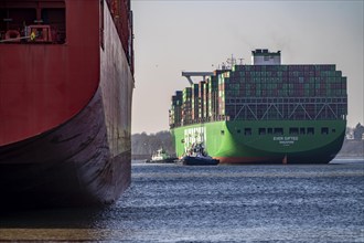 Container ship Ever Gifted, arriving at the port of Hamburg, Waltershofer Hafen, HHLA Container