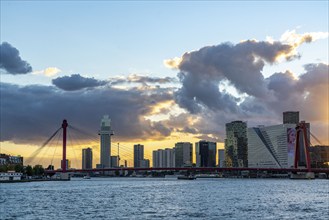 The skyline of Rotterdam, with the Erasmus Bridge over the Nieuwe Maas, district, Netherlands