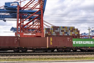 Port of Hamburg, Waltershofer Hafen, container ships, goods train brings and collects freight