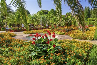 Palm garden in the historic spa gardens, the largest outdoor palm garden north of the Alps, Bad