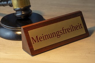 Symbolic image of freedom of opinion in Germany: close-up of a brass sign with the word FREEDOM OF