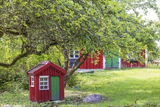 Red idyllic wooden cottage with apple trees in the garden in summer, Sweden, Europe