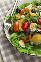 Vegetable salad, with quail eggs and olives, fresh, close-up, no people