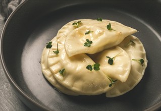 Pierogi, a traditional dish of Polish cuisine, dumplings, top view, close-up, no people