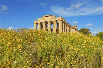 Temple of Hera or Temple E, Selinunte Archaeological Park, Selinunte, Trapani district, Sicily,