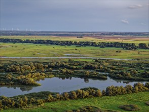 The Warta Estuary National Park, Park Narodowy Ujscie Warty, where the Warta flows into the Oder.