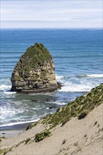 Tepuhueico Zona Costa Park, Parque Tepuhueico, Chiloe, Chile, South America