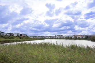 View of the reed belt and the Phönixsee, modern residential buildings in the background, blue and