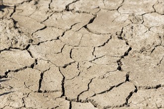 Symbolic image, climate change, global warming, parched farmland, cracks, drought,