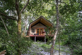 Chalet at Loango Lodge, Loango National Park, Parc National de Loango, Ogooué-Maritime Province,