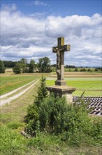 Old wayside cross, field cross in a field, Hegau, Baden-Württemberg, Germany, Europe