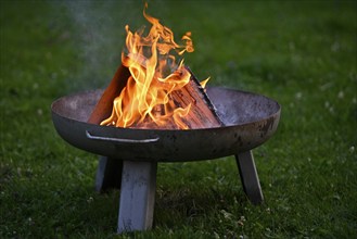 Fire bowl on lawn, in the garden, wood, fire, Stuttgart, Baden-Württemberg, Germany, Europe