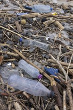 Symbolic image environmental pollution, plastic waste, rubbish, flotsam from a flood on the Neckar