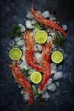 Langoustines, Australian, freshly frozen on ice, top view, lime and greens