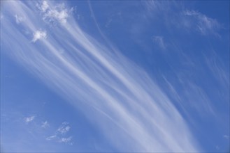 Scenic dramatic summer clouds. Cloudscape of bright blue sky. Cloud background