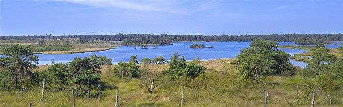 View from lookout tower De Stapper over Stappersven, fen in Grenspark Kalmthoutse Heide, Kalmthout