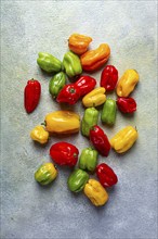 Habanero pepper, color mix, raw, vegetable, top view, no people