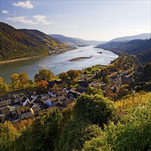 View of Bacharach on the Rhine in autumn, UNESCO World Heritage Upper Middle Rhine Valley,