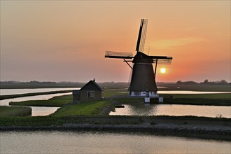 Historic windmill in the light of the setting sun, De Traanroeier, Het Noorden Molen, Texel, North