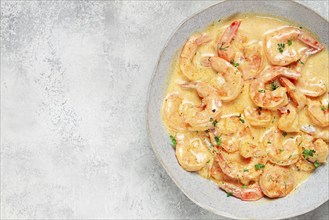 Shrimp in creamy garlic sauce, with spices and herbs