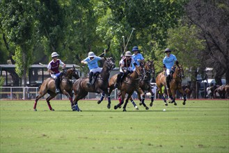 Scene from the 131st Argentine Open Polo Championship (Spanish: Campeonato Argentino Abierto de