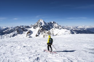 Ski tourers descending from the summit of Monte Cevedale on the Zufallferner, mountain panorama,