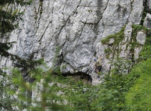 A man climbs a route on the Spitzsteinwand in Erl, 14.07.2024