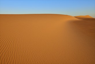 Endless sand dunes under a cloudless blue sky, the undulating patterns in the sand create a calm