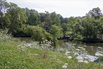 Moat, Ernst-Ehrlicher-Park, Hildesheim, Lower Saxony, Germany, Europe