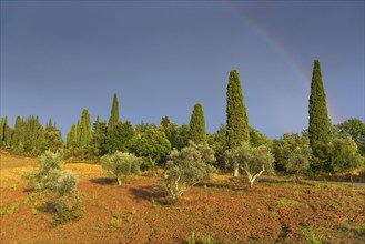 Landscape in the evening light, nature, landscape, weather, rain, sun, dramatic, rural, tourism,