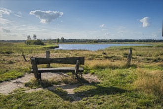 Bench in the Gildehauser Venn nature reserve, nature, landscape, relaxation, tranquillity, view,