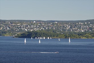 Several sailboats sailing in calm waters, accompanied by a vast hilly landscape in the background,