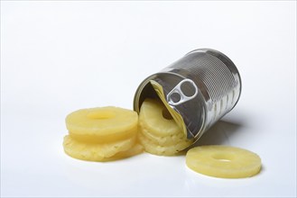 Pineapple rings in tins, Ananas sativus