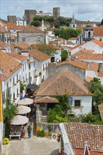 View over a historic town with red roofs and a castle in the background, surrounded by greenery,