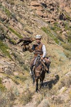 Traditional Kyrgyz eagle hunter with eagle in the mountains, hunting on horseback, near Kysyl-Suu,